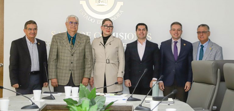 COMISIONES DEL CONGRESO 2