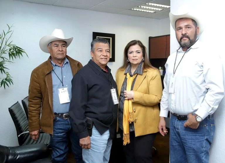 Diputada Gabriela Tapia Fonllem 1