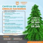 centro de acopio2