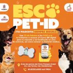 codigo mascota
