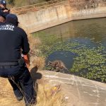 Policía Estatal rescata1