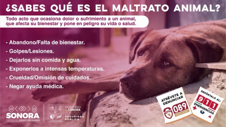 maltrato animal