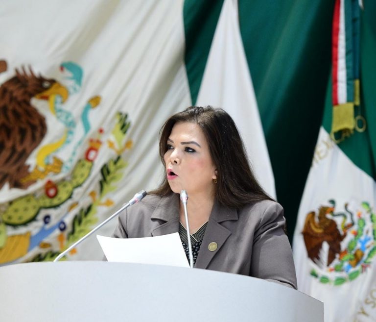 La diputada Gabriela Tapia1