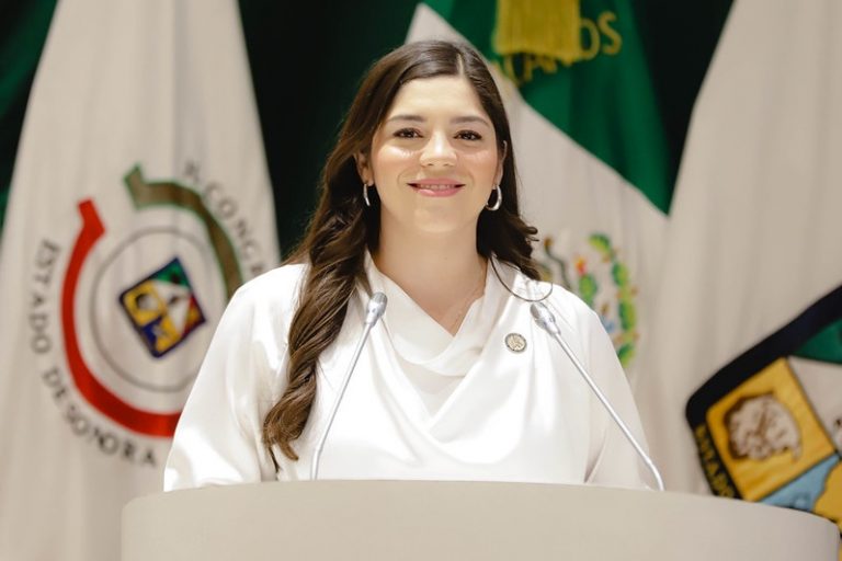 Diputada Amairany Peña