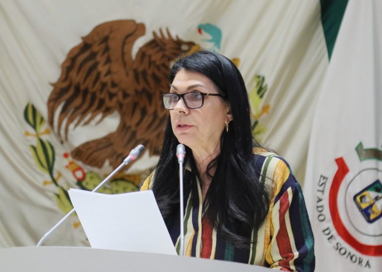 Diputada Ernestina Castro busca