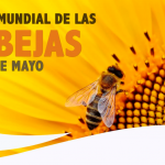 dia-mundial-de-las-abejas