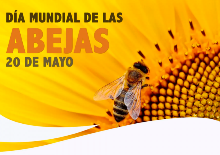 dia-mundial-de-las-abejas