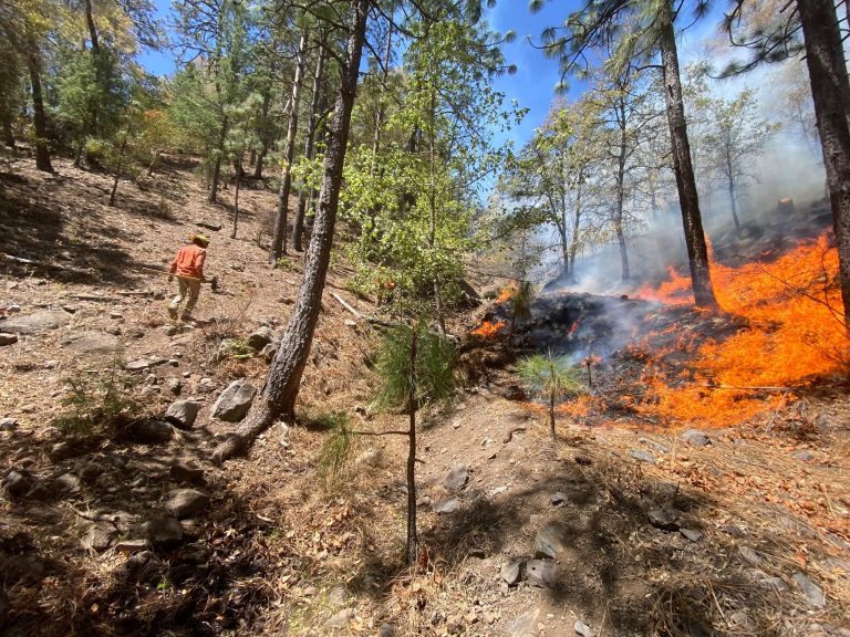 incendio4