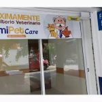 similares