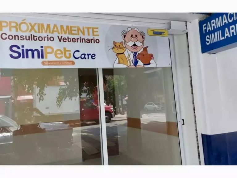 similares