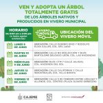 árbol (1)