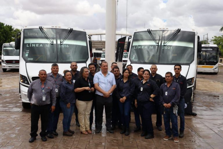 linea 16 4