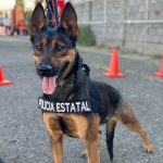 Cuenta Gobierno del Estado 2