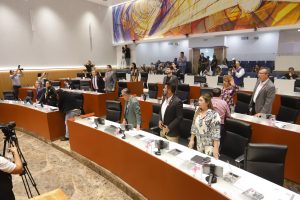 Analiza Congreso1
