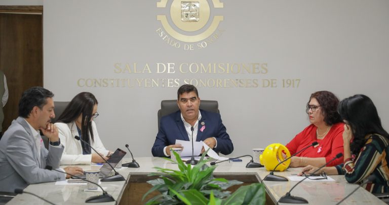Aprueban en comisión reforma2