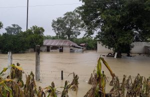 Al menos 23 muertos y ocho desaparecidos tras fuertes lluvias en México