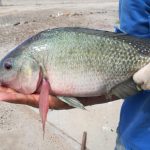 01E64CE1-E388-4788-B26F-4CA30D40CFD5