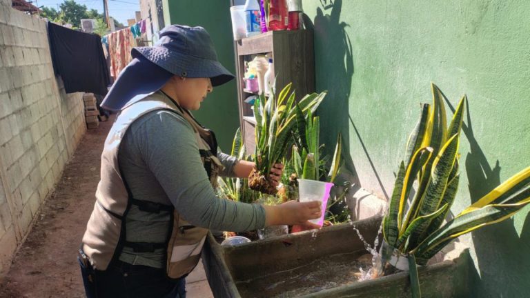 42C6F2F9-8991-4067-907C-0E364F2E09A8