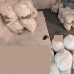 IMG-20251109-WA0317 (1)