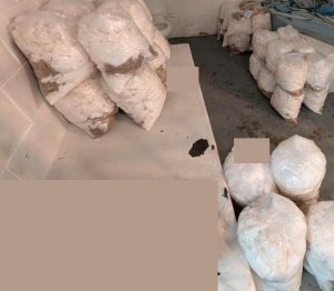 IMG-20251109-WA0317 (1)