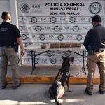 IMG-20251111-WA0203 (1)