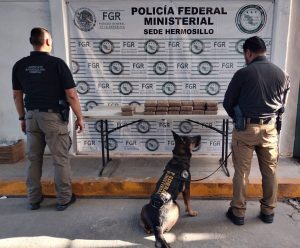 IMG-20251111-WA0203 (1)