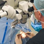 Secretaría de Bienestar3