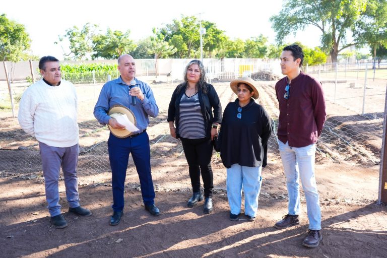 HUERTO UNIVERSITARIO (3)