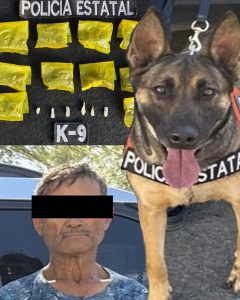 3E7B54B8-D77B-40B0-9315-9DB397DC33F9