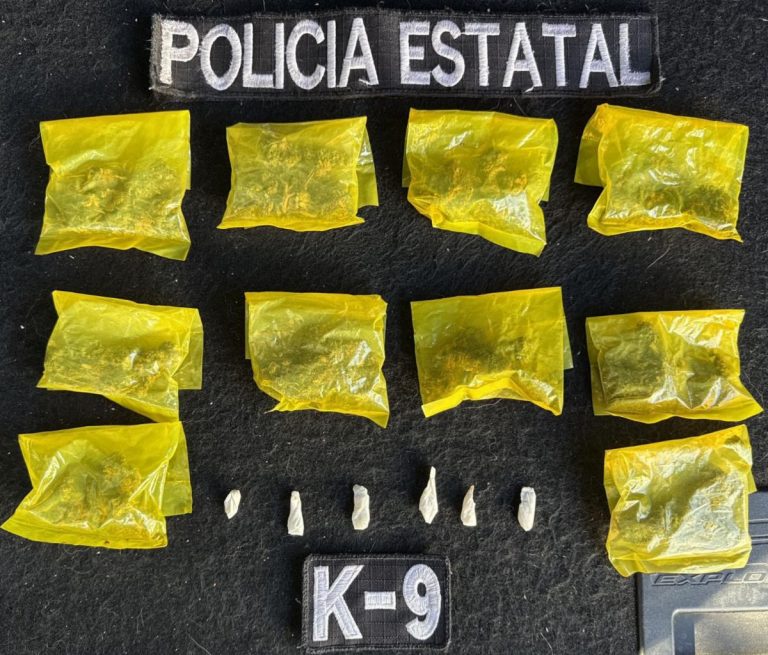 A6F3EDAE-FAB8-4601-979C-9BAE567F4187