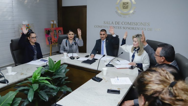 Analiza Congreso de Sonora2