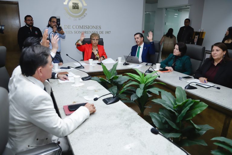 AVALAN EN COMISIÓN (2)