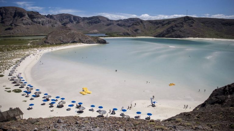 embrace-it-visitantes-baja-california-sur