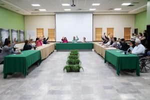 sesion de cabildo (2)