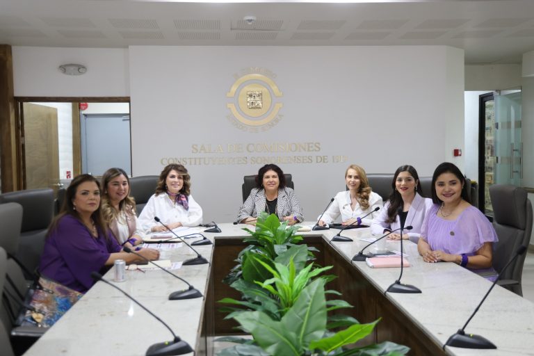 COMISIÓN PARA LA IGUALDAD 2