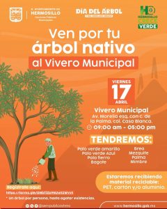 Invita Gobierno de Hermosillo a adoptar un árbol nativo (3)