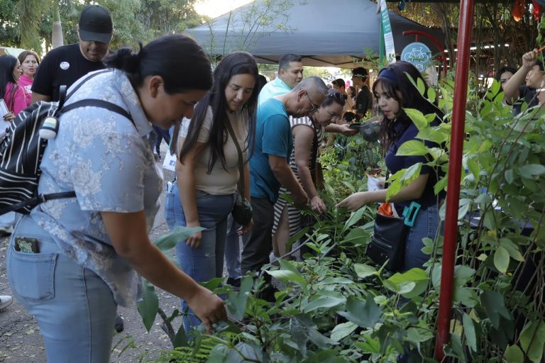 GRAN PARTICIPACIÓN (11)