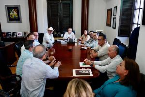 IMPULSA GOBERNADOR (3)
