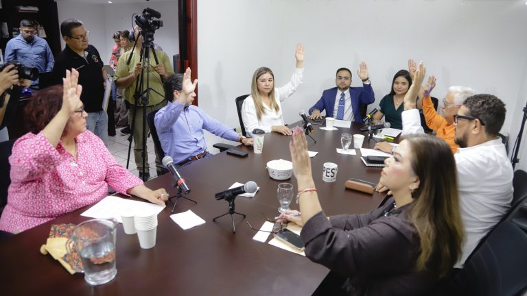 congreso (3)