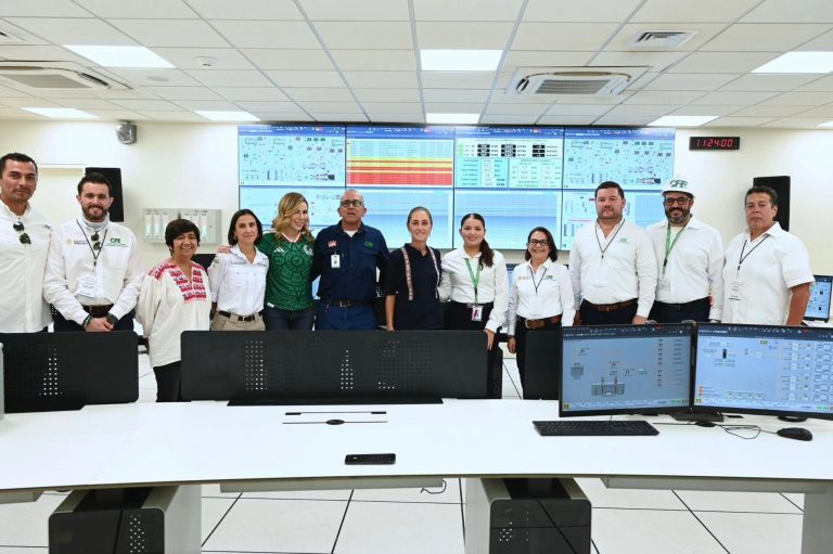 planta cfe1