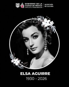 elsa aguirre