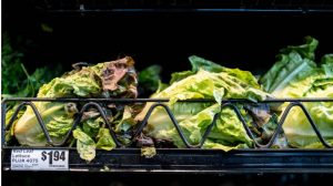 lechuga