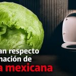 portada-lechuga-mexicana