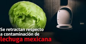 portada-lechuga-mexicana