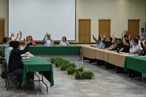CABILDO APRUEBA (3)