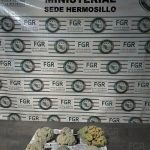 INCAUTA LA POLICÍA (1)