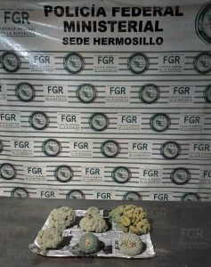 INCAUTA LA POLICÍA (1)