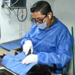 Promueve Gobierno de Hermosillo