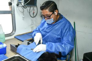 Promueve Gobierno de Hermosillo