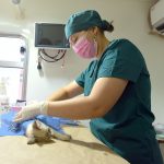 esterilizacion (2)